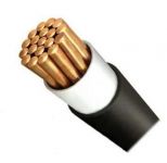 Кабель ВВГнг(А)-LS 1х185 МК 1кВ Б (м) Агрокабель 9847 Кабель ВВГнг(А)-LS 1х185 МК 1кВ Б (м) Агрокабель 9847